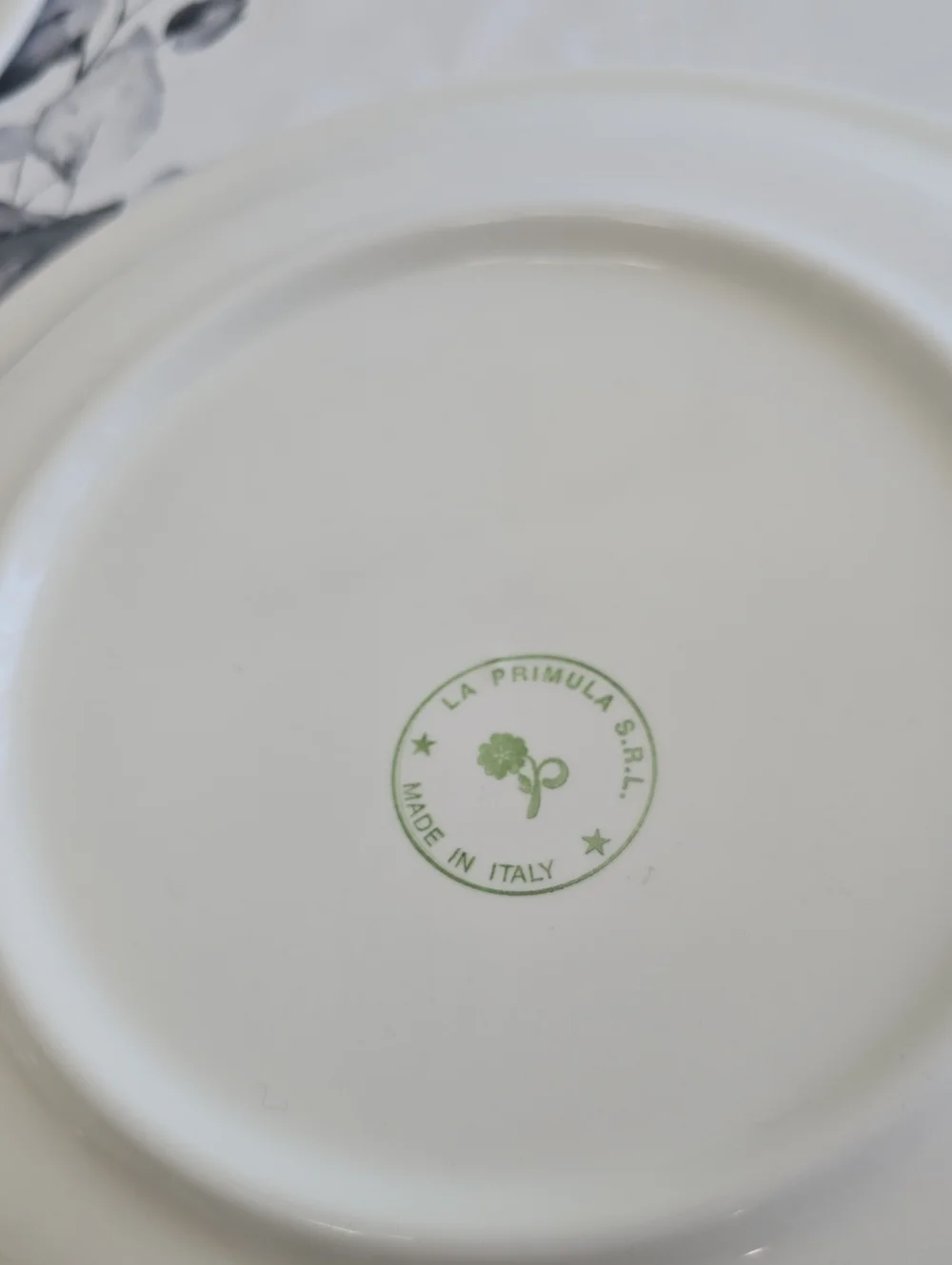 La Primula S.R.L. Set Of 3 Ceramic Dinner Plates Green Red Trim Made In Italy